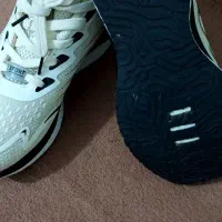 کفش اسپرت ویتنام سایز ۴۱ خیلی سبک وراحت|کیف، کفش، کمربند|سنندج, |دیوار