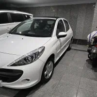 ۲۰۷ دنده پاناروما ۱۴۰۳درحد