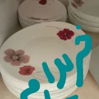 از مدل گذاشتم