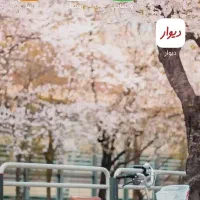 شیائومی نوت ۱۲|موبایل|ملایر, |دیوار