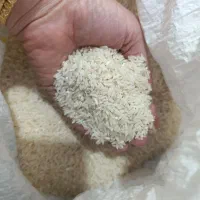برنج طارم هاشمی 50کیلو امساله
