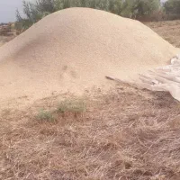 کاه‌خورد‌شده