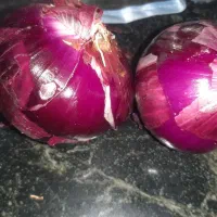 بذر  قرمز5کیلو موجود|گل و گیاه طبیعی|جیرفت, |دیوار