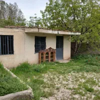 باغ  و باغچه  روستای عارفی