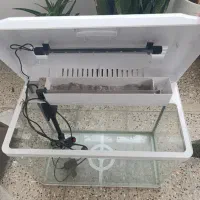 آکواریوم|ماهی|ایلام, |دیوار