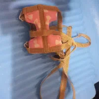 خرگوش لوپ|موش و خرگوش|اراک, |دیوار