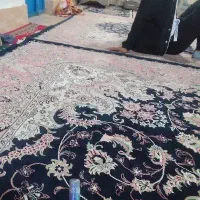 سوییت