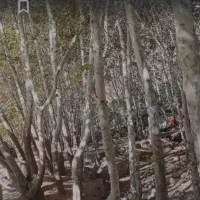 پارتنر گردش