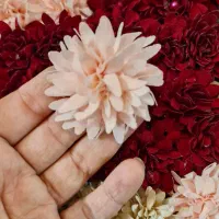 تلسر عمده قیمت مناسب|صنایع دستی و سایر لوازم تزئینی|ورامین, ورامین|دیوار