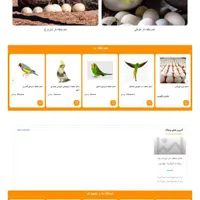 طراحی سایت حرفه‌ای با قرارداد رسمی و دفتر فیزیکی|خدمات رایانه‌ای و موبایل|ارومیه, |دیوار