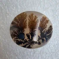 سنگ شجر قائن طبیعی اصل|جواهرات|اصفهان, خانه اصفهان|دیوار