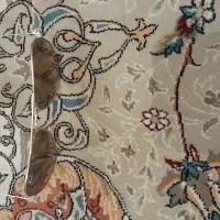 عینک ریبن سالم