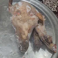 کله پاچه بره نرینه به همراه بزغاله نرینه