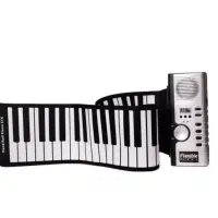 کیبورد پflexible piano
