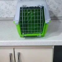باکس نگهداری گربه////کیانشهر