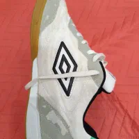 کفش سالنی|کیف، کفش، کمربند|شوشتر, |دیوار