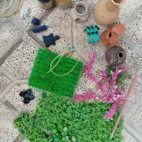 پکیج کامل آکواریوم|لوازم جانبی حیوانات|سنقر, |دیوار