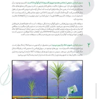 گچ کشاورزی یا سولفات کلسیم|خدمات باغبانی و درختکاری|اصفهان, بهارستان|دیوار