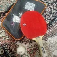 دسته پینگ پونگ فرزند شیپ ۱۲ستاره