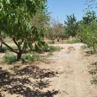 فروش زمین ۶۶۶ متری در محدوده پل زمانخان شوراب|فروش زمین و ملک کلنگی|اصفهان, فیض|دیوار