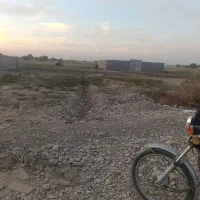 فروش زمین  باغچه۵۰۰ متری ـ۲۷۰ میلیون ـ نهال بنجعفر