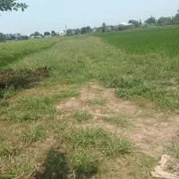 زمین کشاورزی به متراژ ۱۰۰۰متر|فروش دفتر صنعتی، کشاورزی، تجاری|رشت, حومه رشت|دیوار