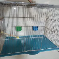 پرنده ،قفس سایز 52