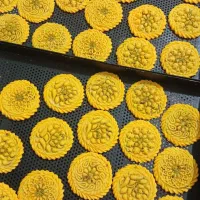 سفارش کلمپه خانگی