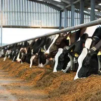 دوره تلقیح مصنوعی  ( مدرک فنی و حرفه ای )