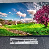 نمایندگی تعمیرات - مرکز تعمیر تلویزیون  ( نوروزی )|خدمات پیشه و مهارت|شاهین‌شهر, عطار|دیوار