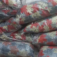 شیبان شبیشه