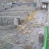 ۲ واحد دامداری با سند تک برگ طلق|فروش دفتر صنعتی، کشاورزی، تجاری|تهران, شیخ هادی|دیوار