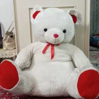 شاسخین بزرگ