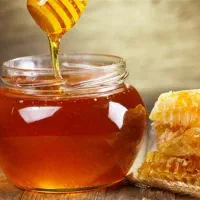 فروش عسل طبیعی و ارگانیک