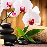 تزریقات ،پانسمان