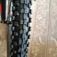 دوچرخه ویوا (VIVA) سایز 29 کاملا نو نو|دوچرخه، اسکیت، اسکوتر|محمدشهر, همایون ویلا|دیوار