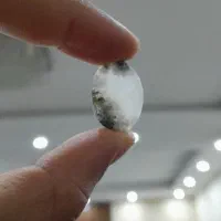 شجر برفی تراش خورده|جواهرات|سنندج, |دیوار