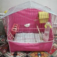 قفس فنج