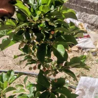 مقازه با مجوز ساخت حدود ۴۰ متری
