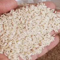 برنج عنبربو|عمده‌فروشی|اهواز, اسماعیلیه|دیوار