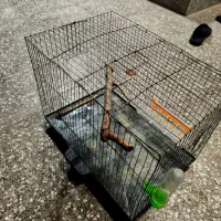 قفس پرنده