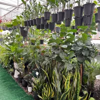 فروش یکجا گلفروشی