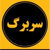 طراحی لوگو سربرگ تراکت کارت ویزیت لیبل ارزان سریع|خدمات رایانه‌ای و موبایل|شیراز, بریجستون|دیوار