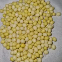 حلزون و تخم حلزون