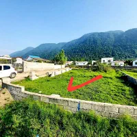 دامنه-جنگل-مازندران-سند-تکبرگ-لوکیشن-سوددهی-بالا