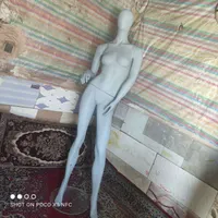 مانکن