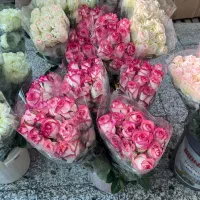 گلخانه ی رز شاخه بریده|استخدام صنعتی، فنی، مهندسی|صفادشت, |دیوار