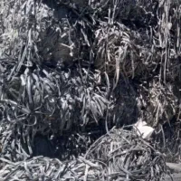 ضایعات فلزی وپلاستیکی|خدمات پیشه و مهارت|دامغان, |دیوار