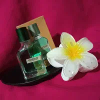 مینی عطر|آرایشی، بهداشتی، درمانی|لار, |دیوار