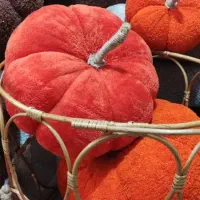 کوسن های کدو تدی